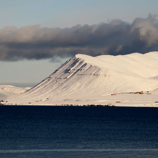 Forsvarsstilling, Revneset