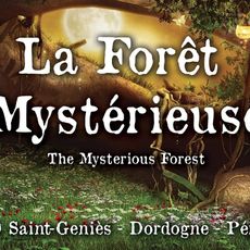 La forêt mystérieuse