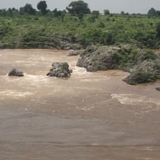 Narmada Valley dry deciduous forests