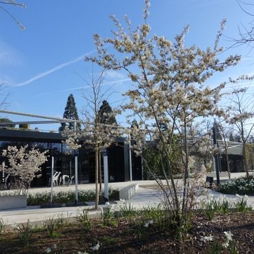 Wat te doen in Parijs met familie: attractieparken, educatieve musea en kinderactiviteiten