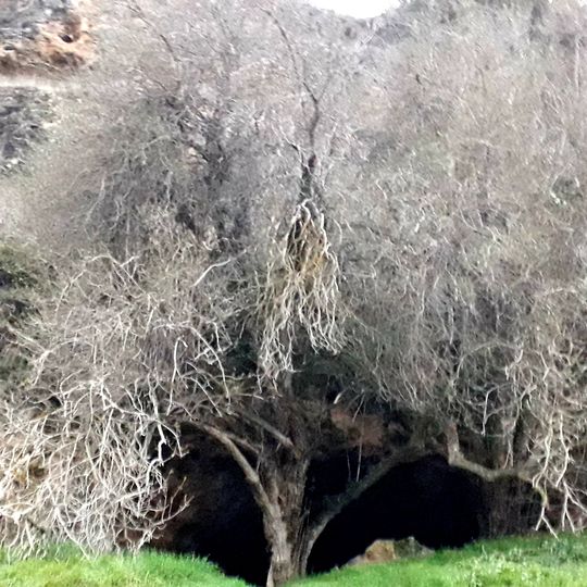 Cueva de la Vaquera