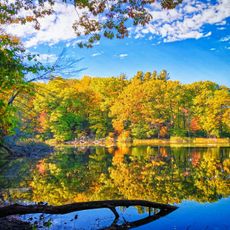 Durand Eastman Park