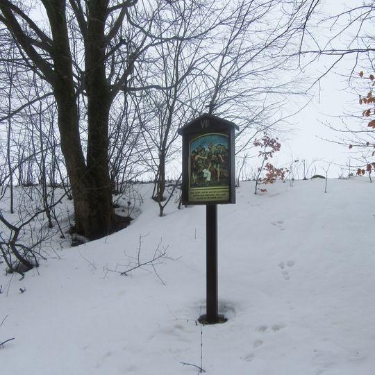 Křížová cesta u Olšan - 7. zastavení