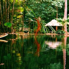 Bosque Rodrigues Alves