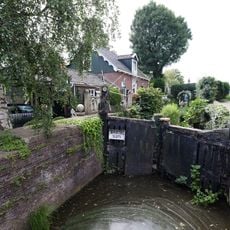 Bartelsluis