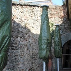 Teil d. Kardinalschütt