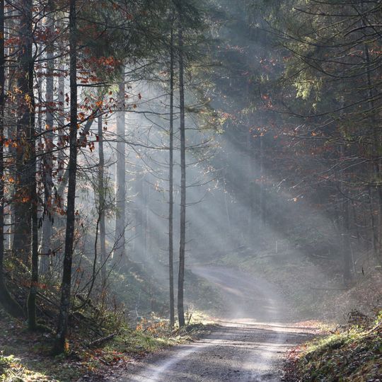 Inschutznahme des Gebietes Mühlau-Schöffau als LSG