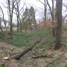 Schwedenschanze (Kelsterbach)