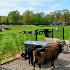 Stadsboerderij de Molenweide