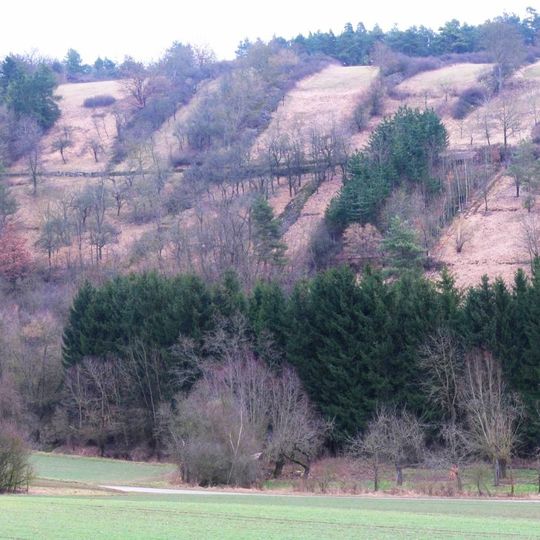 Besselbergweinberge