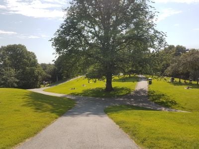  0