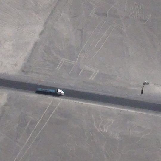 Nazca Lizard geoglyph