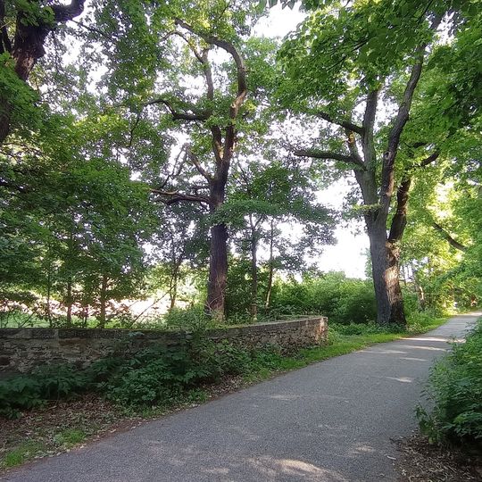 Alej k Bezdrevskému potoku