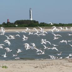 Cape Romain National Wildlife Refuge