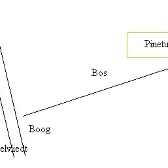 Pinetum 't Vinkennest
