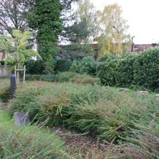 Jüdischer Friedhof