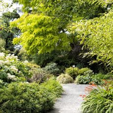 ベルビュー植物園