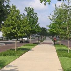 West Orange Trail