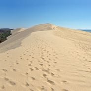 Photography around Bassin d'Arcachon: beaches, oyster villages, Dune du Pilat