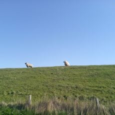 Stufhusen