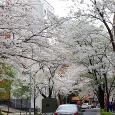 Kamurozaka