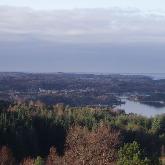 Scandinavian coastal conifer forests