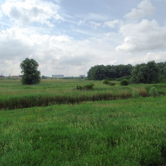 Hochwasserschutzpolder zwischen Senator-Apelt-Straße und Neustädter Hafen