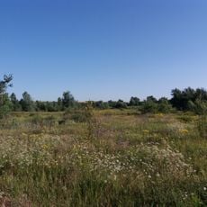 Slatynskyi Botanical Reserve
