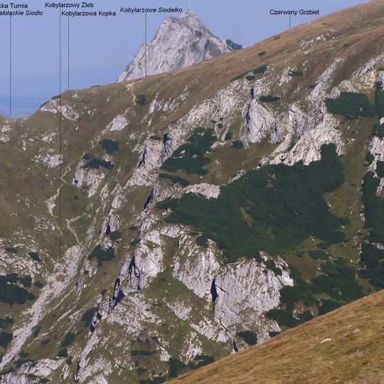 Meander w Małołąckim Siodle