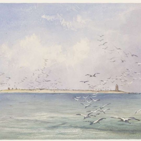 Raine Island