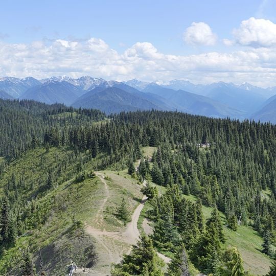 Hurricane Ridge