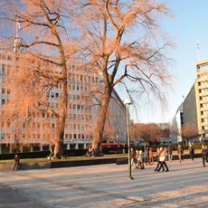 Olav Vs plass