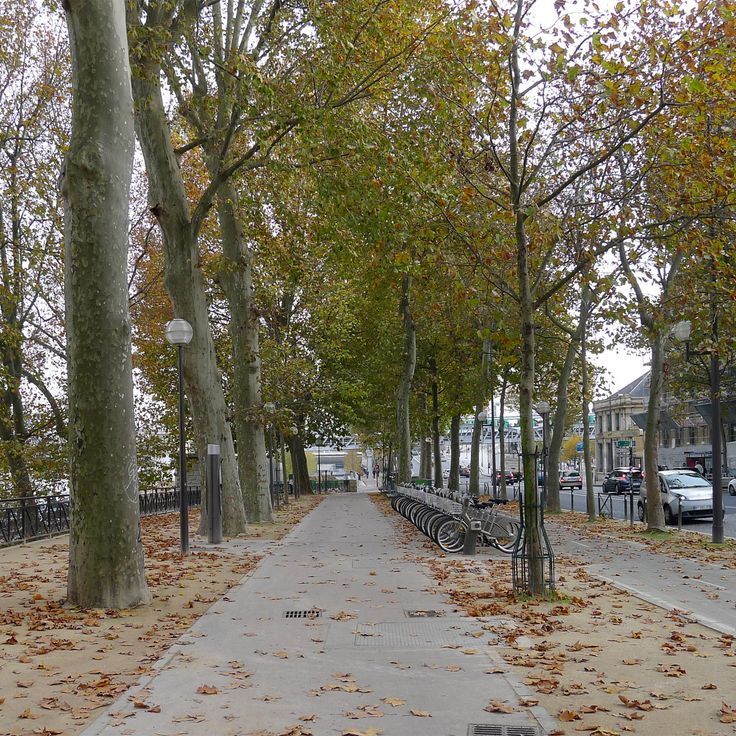 Quai d'Austerlitz