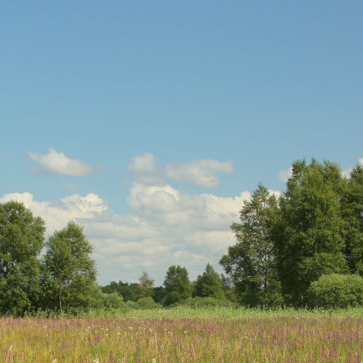 Słowiński National Park