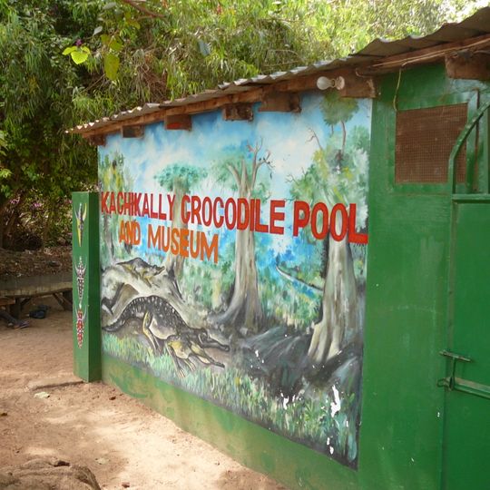Kachikally Museum and Crocodile Pool
