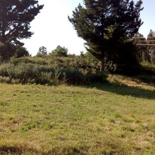 Castro de Barallobre