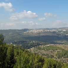 Jerusalem Forest