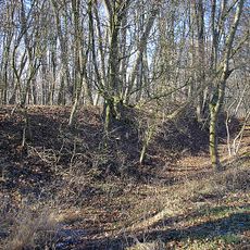 Burgstall Mühlhausen