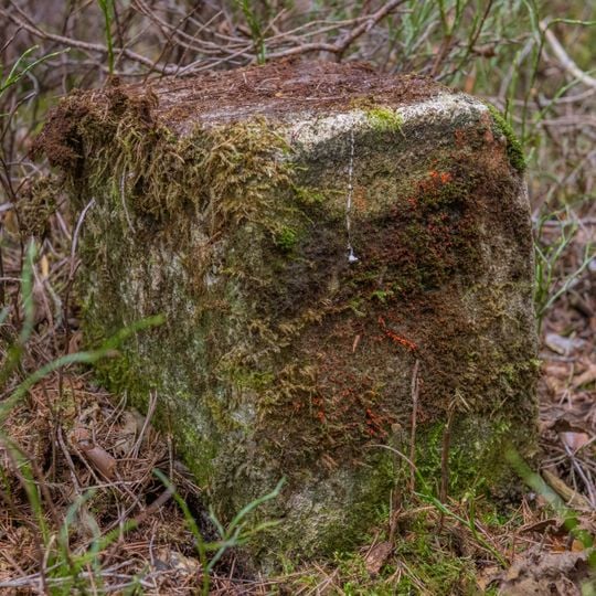 Forstgrenzsteine der Nord- und Westgrenzen des Fürther Stadtwaldes Nrn. 4–5, 10, 12, 13–15, 18–25, 27, 29