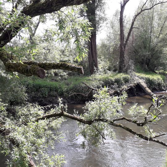 NSG Wurmtal noerdlich Herzogenrath