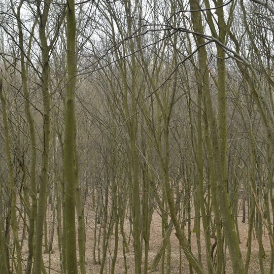 Sadivska dacha nature reserve