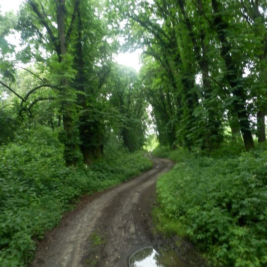 Schewachiwschtschyna