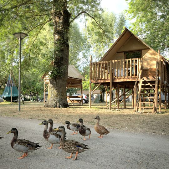 Camping Le Sabot Azay-le-Rideau