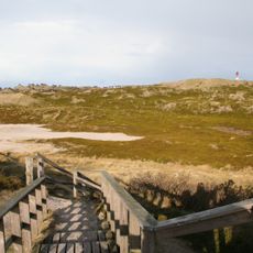 Dünenlandschaft Süd-Sylt