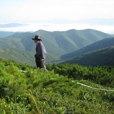 Zov Tigra National Park