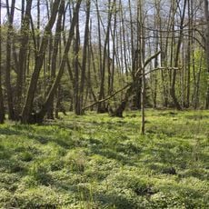 Naturschutzgebiet Rohrwiesenbachtal und Eisenberg bei Schlitz
