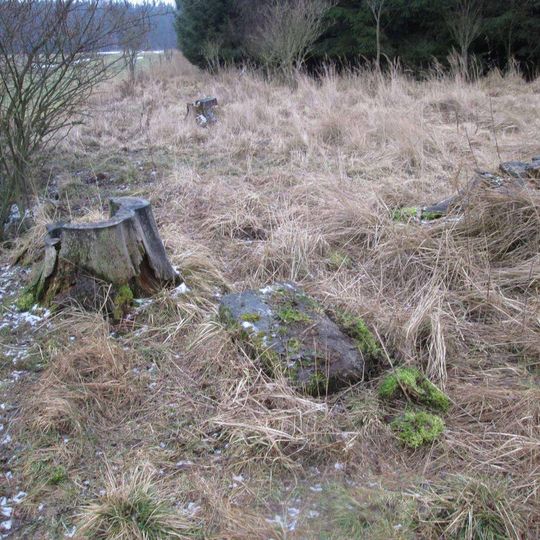 Kříž západně od Horních Kozolup u lesa