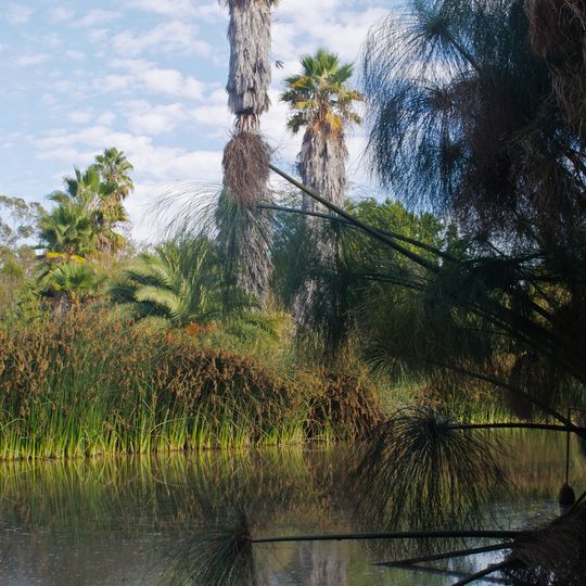 South Coast Botanic Garden