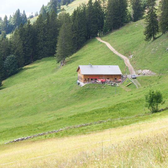 Alp Greussing Wildmoos