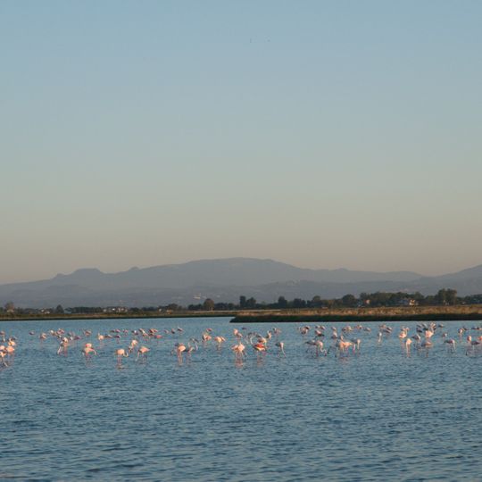 Riserva naturale Salina di Cervia